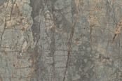 Fossil-Deep Sea by Stone Peak photo fossil-deep-sea_zpsbe07baac.jpg